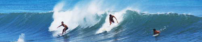 surfers magazine